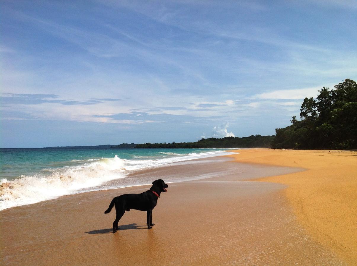 Playa Bluff Lodge *